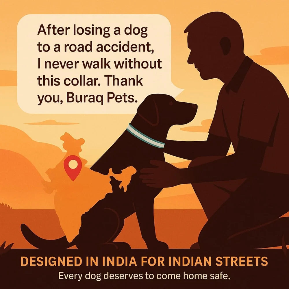 DOG MAX REFLECTIVE COLLAR