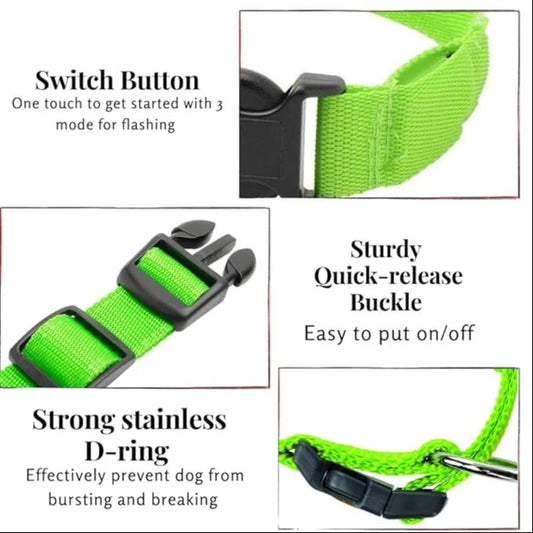 DOG LED COLLARS