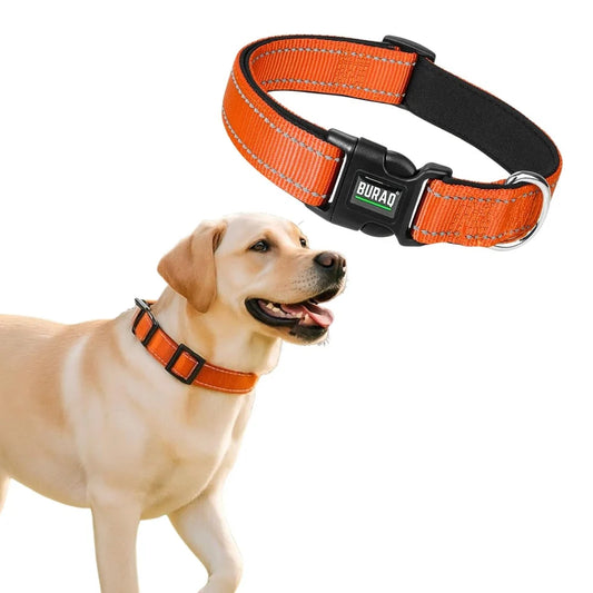 DOG NEO-PADDED REFLECTIVE COLLAR