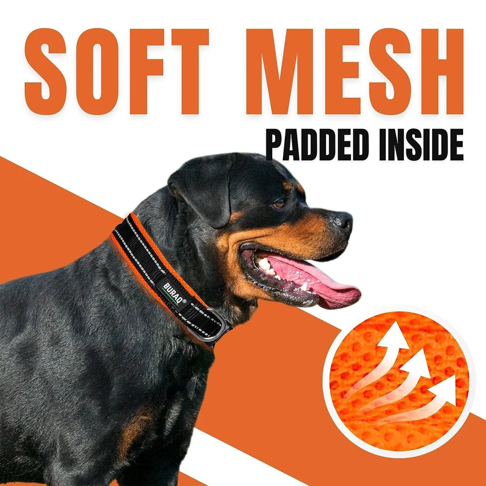 DOG PREMIUM SOFT PADDED COLLAR