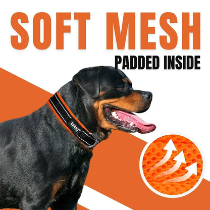 DOG PREMIUM SOFT PADDED COLLAR