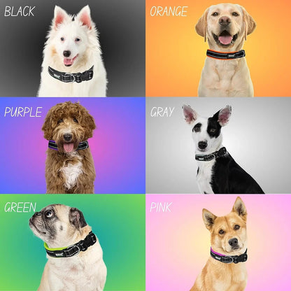 DOG PREMIUM SOFT PADDED COLLAR