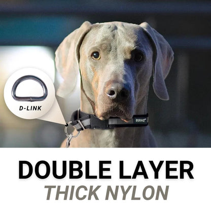 Dog Reflective Collars