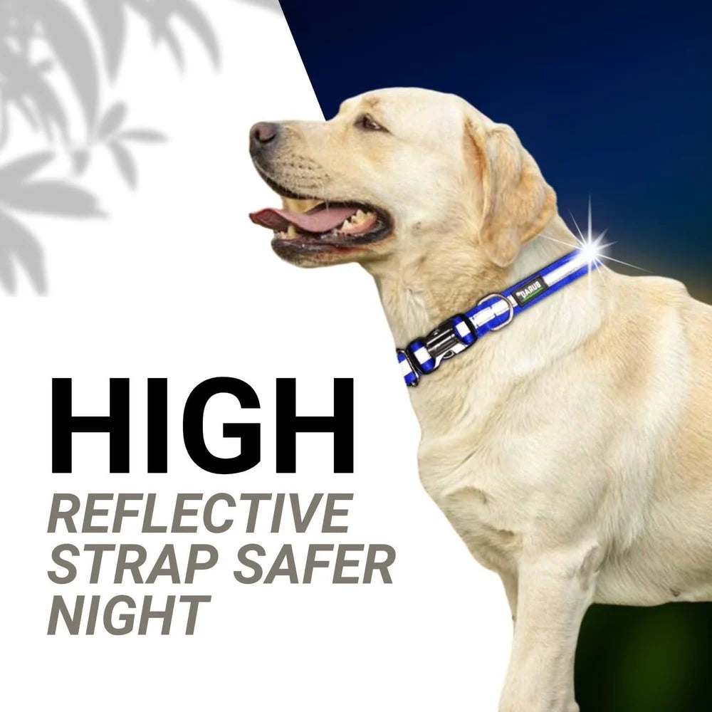 Dog Reflective Collars