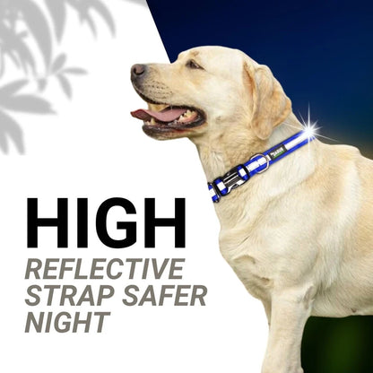 Dog Reflective Collars