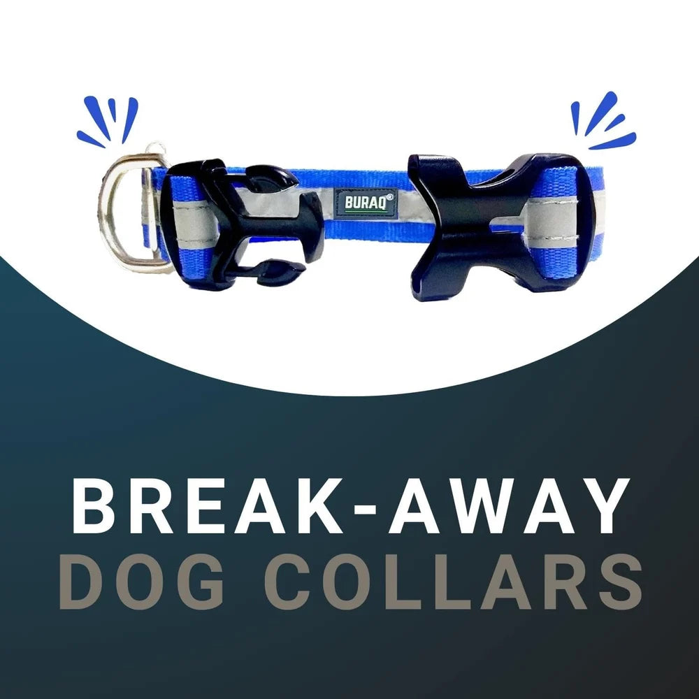 Dog Reflective Collars