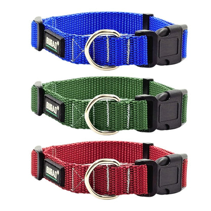 DOG CLASSIC COLLAR