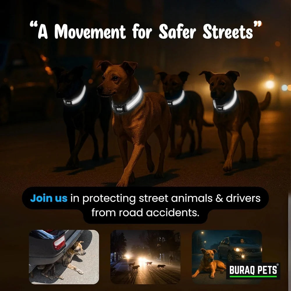 DOG MAX REFLECTIVE COLLAR