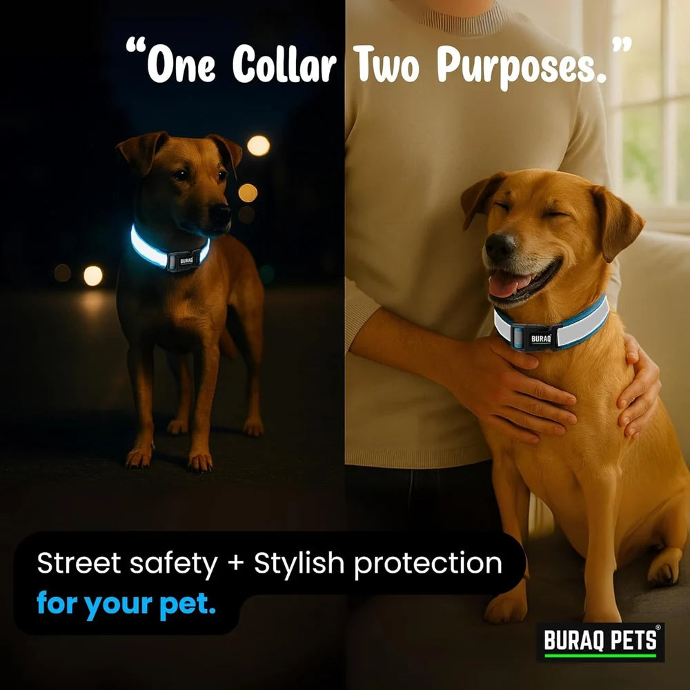 DOG MAX REFLECTIVE COLLAR