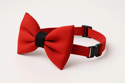 DOG BOW COLLAR
