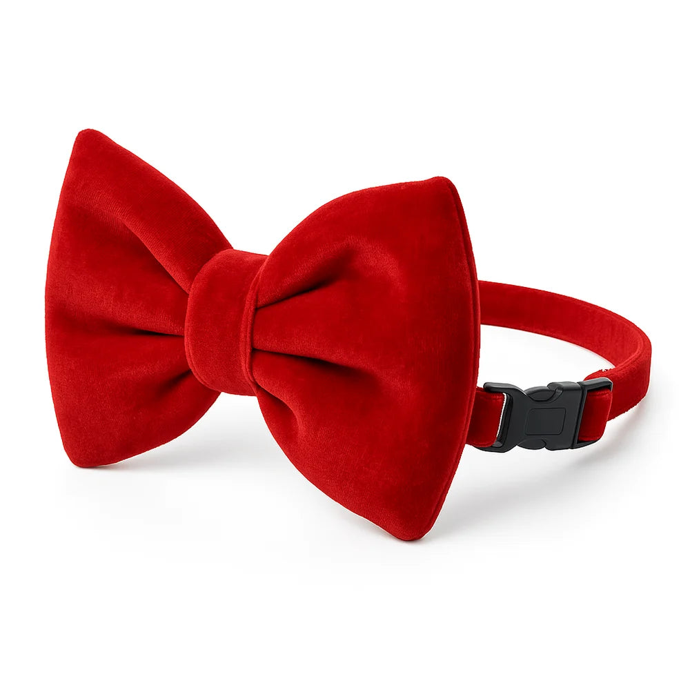 DOG BOW COLLAR