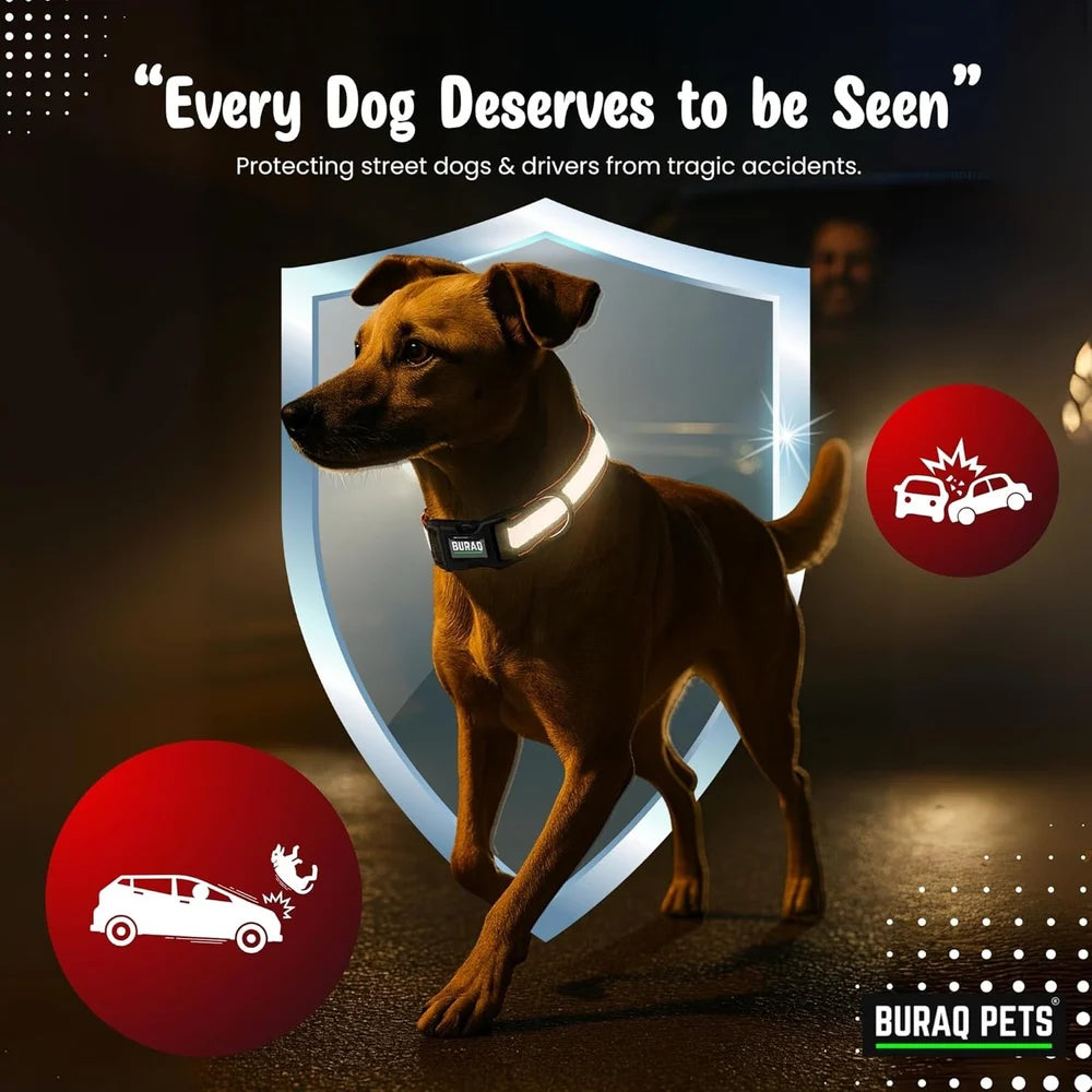 DOG MAX REFLECTIVE COLLAR