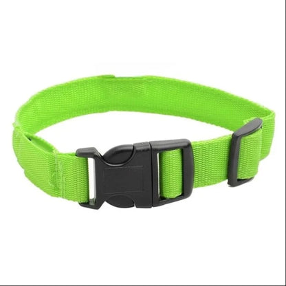 DOG LED COLLARS