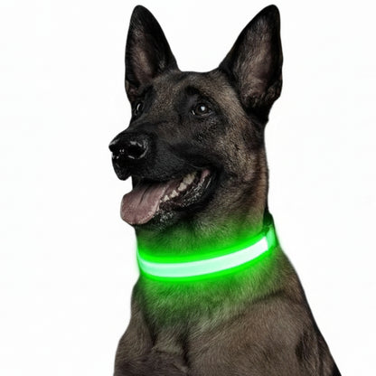 DOG LED COLLARS