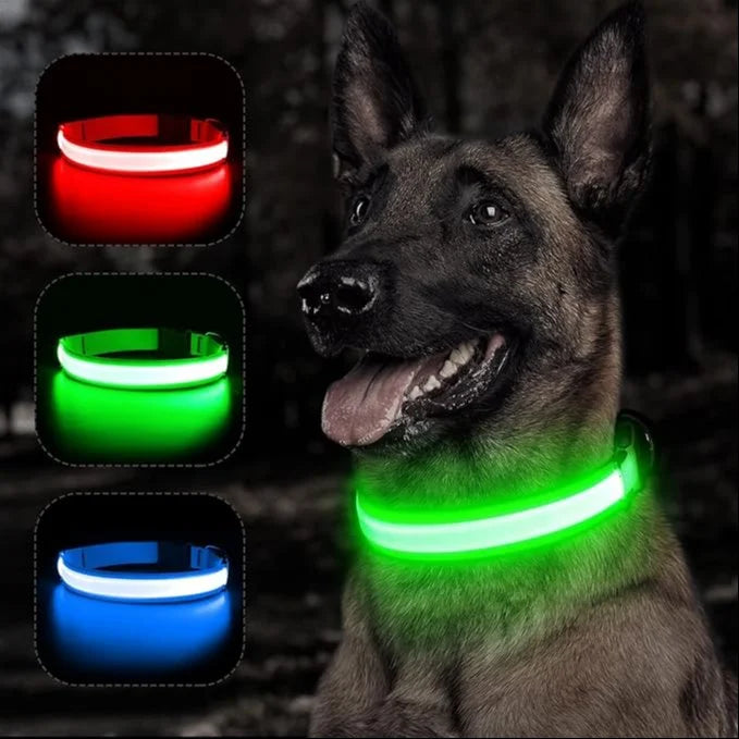DOG LED COLLARS