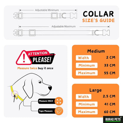 DOG CLASSIC COLLAR