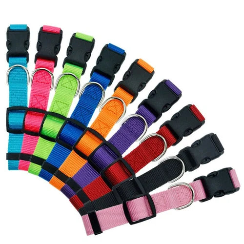 PUPPY NYLON COLLAR