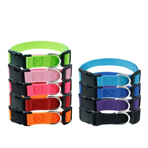 PUPPY NYLON COLLAR