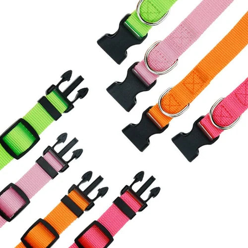 PUPPY NYLON COLLAR