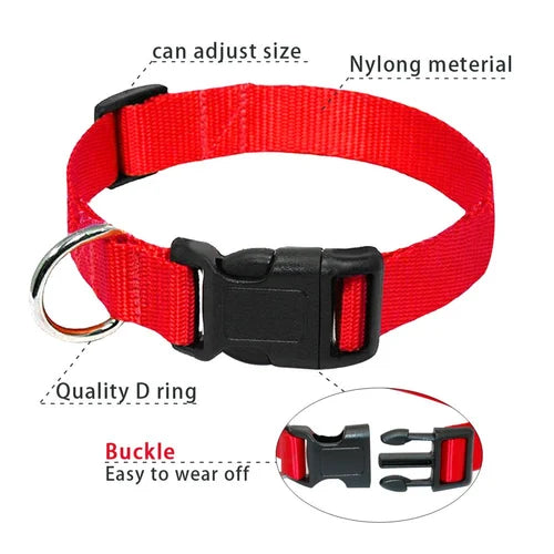 PUPPY NYLON COLLAR