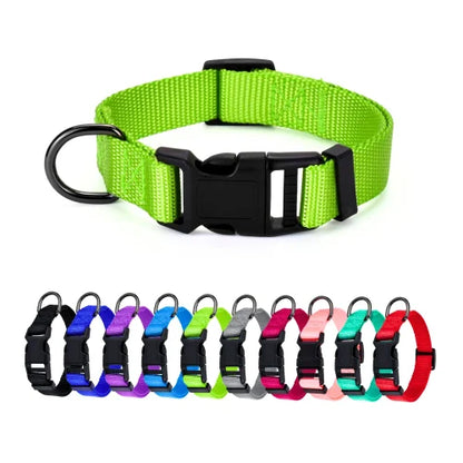 PUPPY NYLON COLLAR