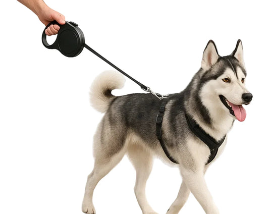 RETRACTABLE LEASH